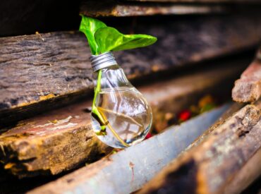 pexels-bruno-scramgnon-315658